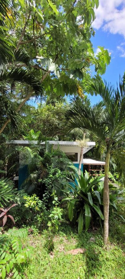 Villa Martina Palmgarden Samara Ngoại thất bức ảnh
