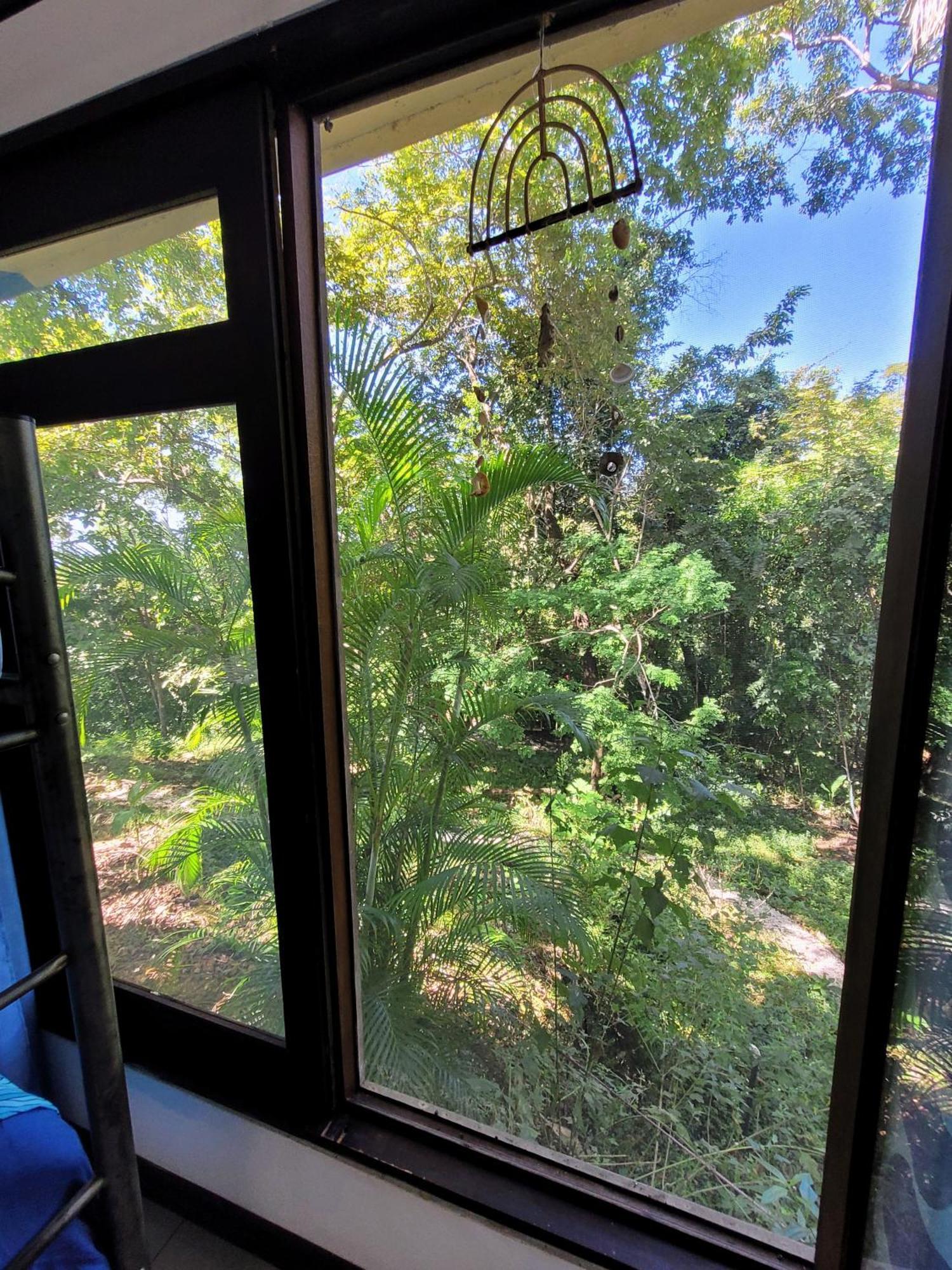 Villa Martina Palmgarden Samara Ngoại thất bức ảnh