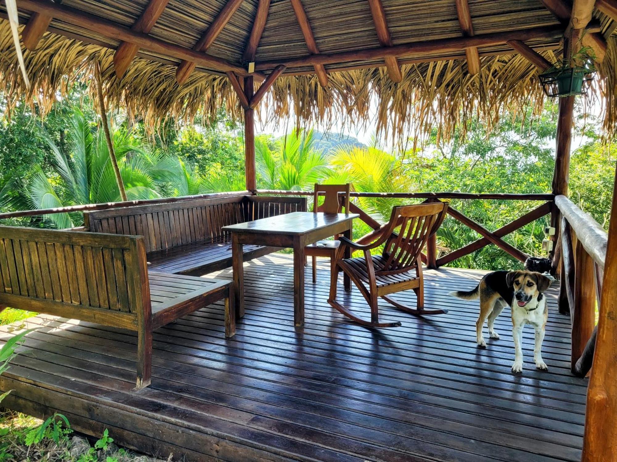 Villa Martina Palmgarden Samara Ngoại thất bức ảnh