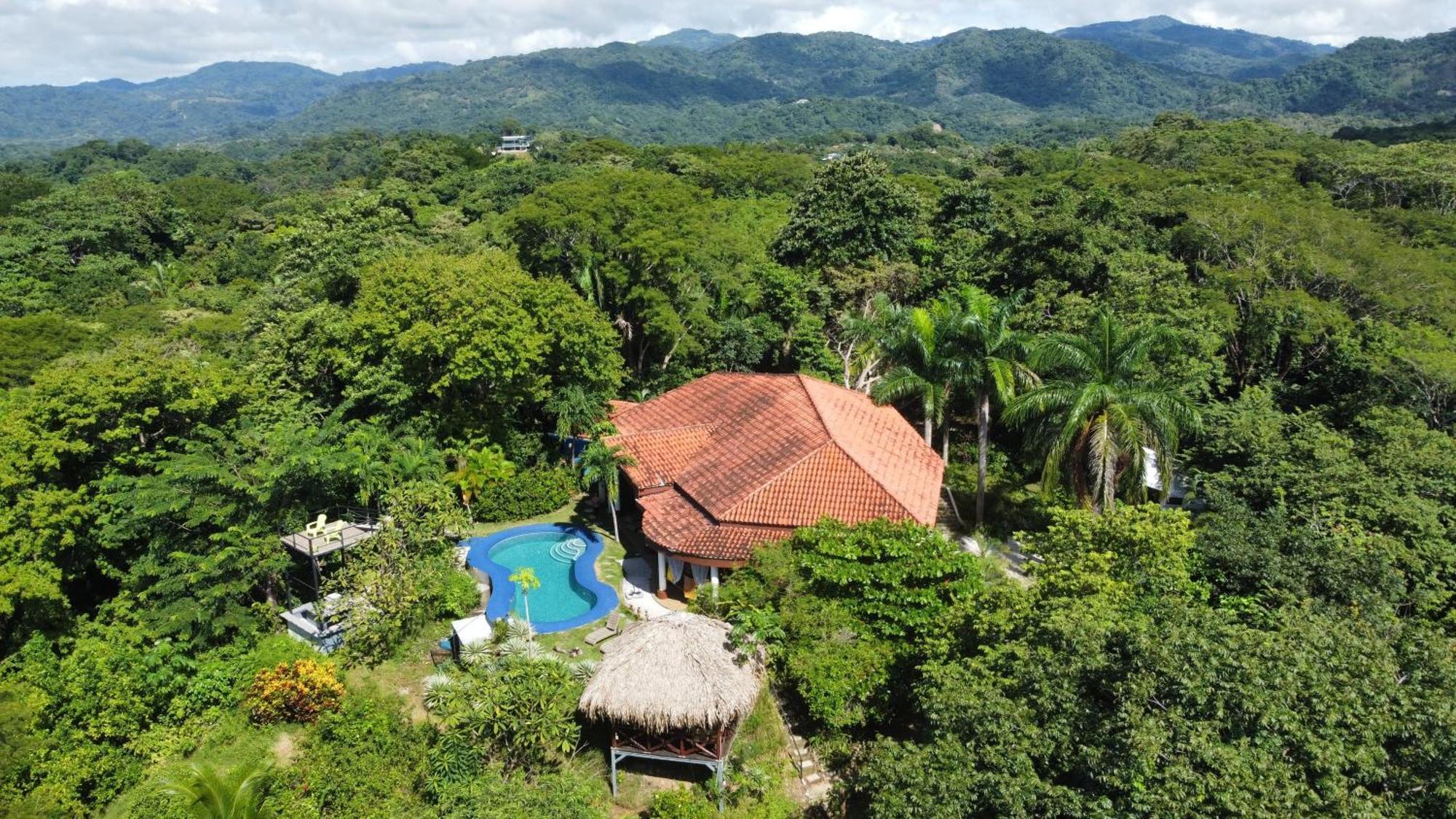 Villa Martina Palmgarden Samara Ngoại thất bức ảnh